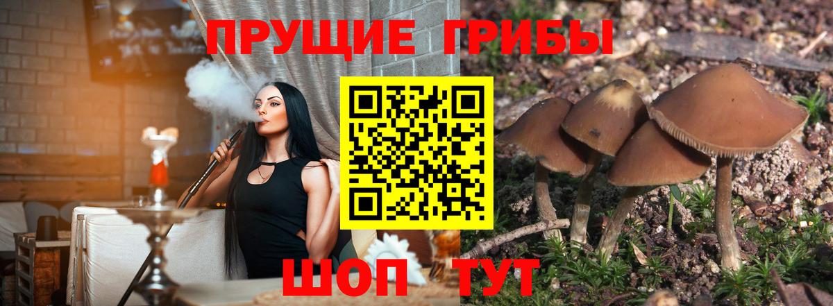 Псилоцибиновые грибы GOLDEN TEACHER Мариинск