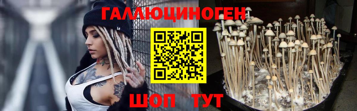 Мариинск  Галлюциногенные грибы прущие грибы  Вход с VPN 